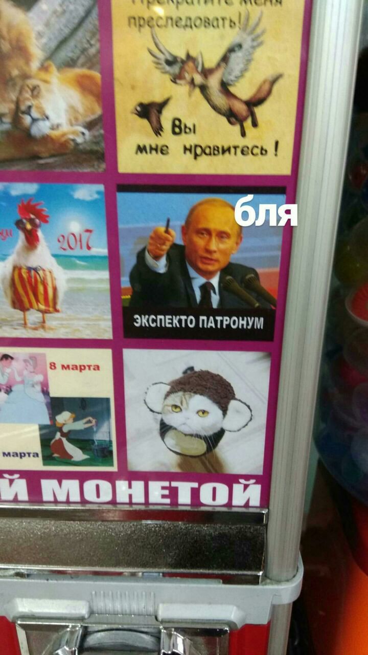 \реследовать Вы мне нравитесь ЭКСПЕКТО ПАТРОНУМ 8 марта марта A МОНЕТОЙ at of