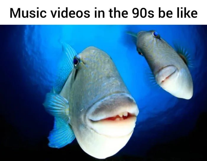 Music videos the be like