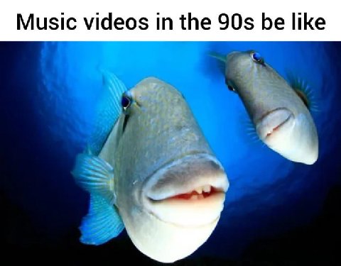 Music videos the be like