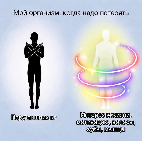 Мой организм, когда надо потерять