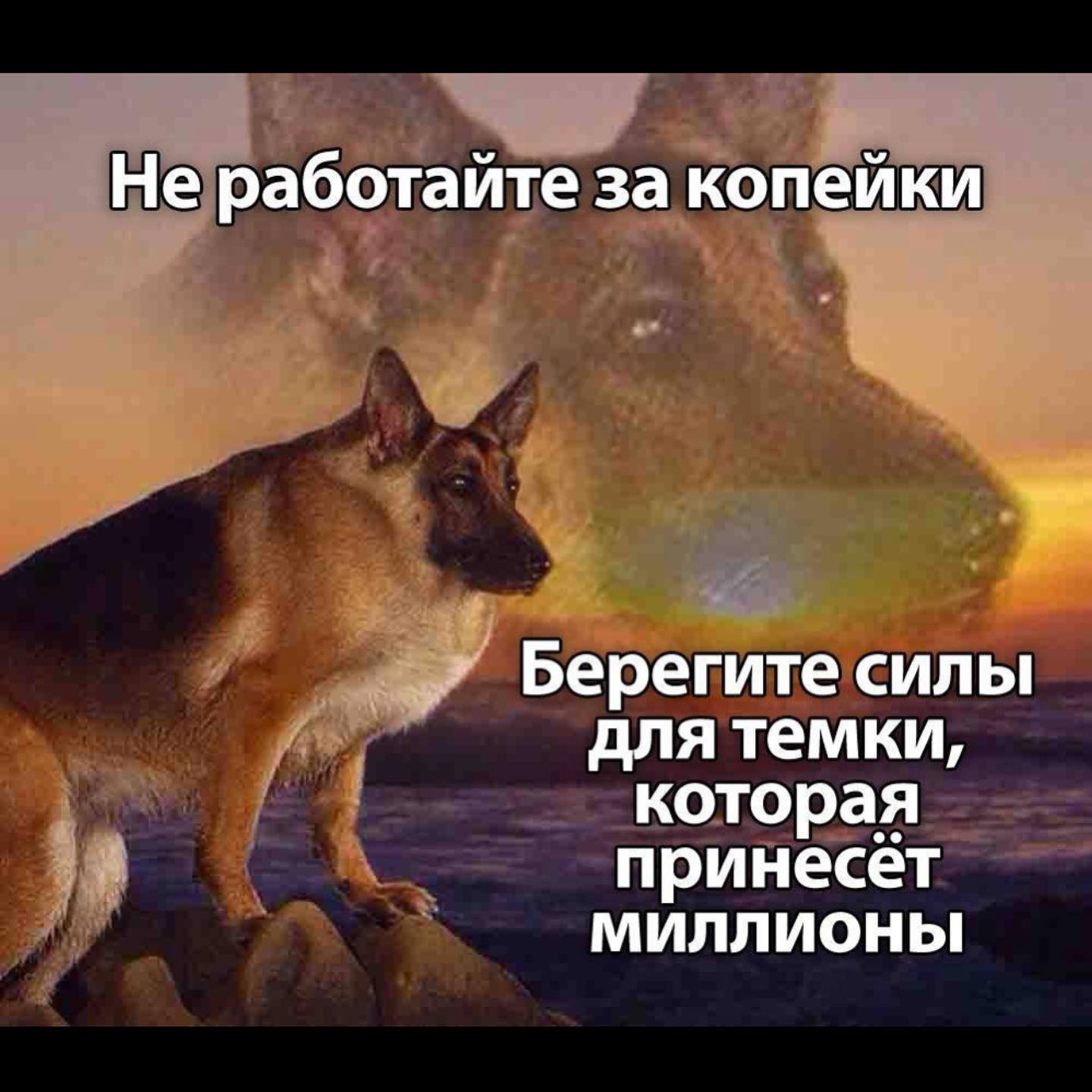 Не работайте за копейки Берегите силы для темки, которая принесёт МИЛЛИОНЫ