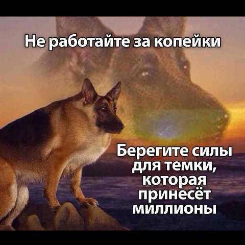 Не работайте за копейки Берегите силы для темки, которая принесёт МИЛЛИОНЫ