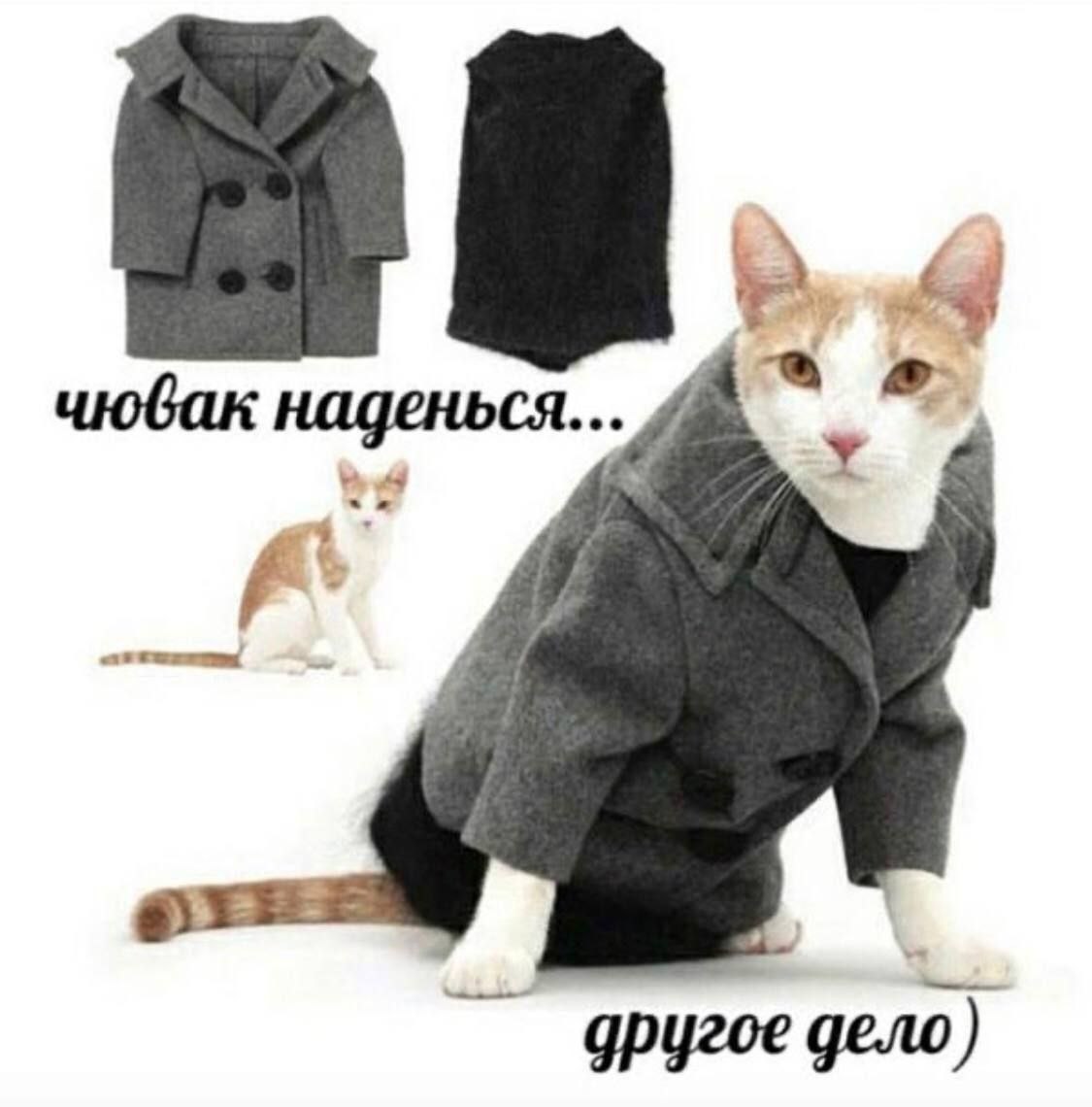 чювак наденься... другое дело)