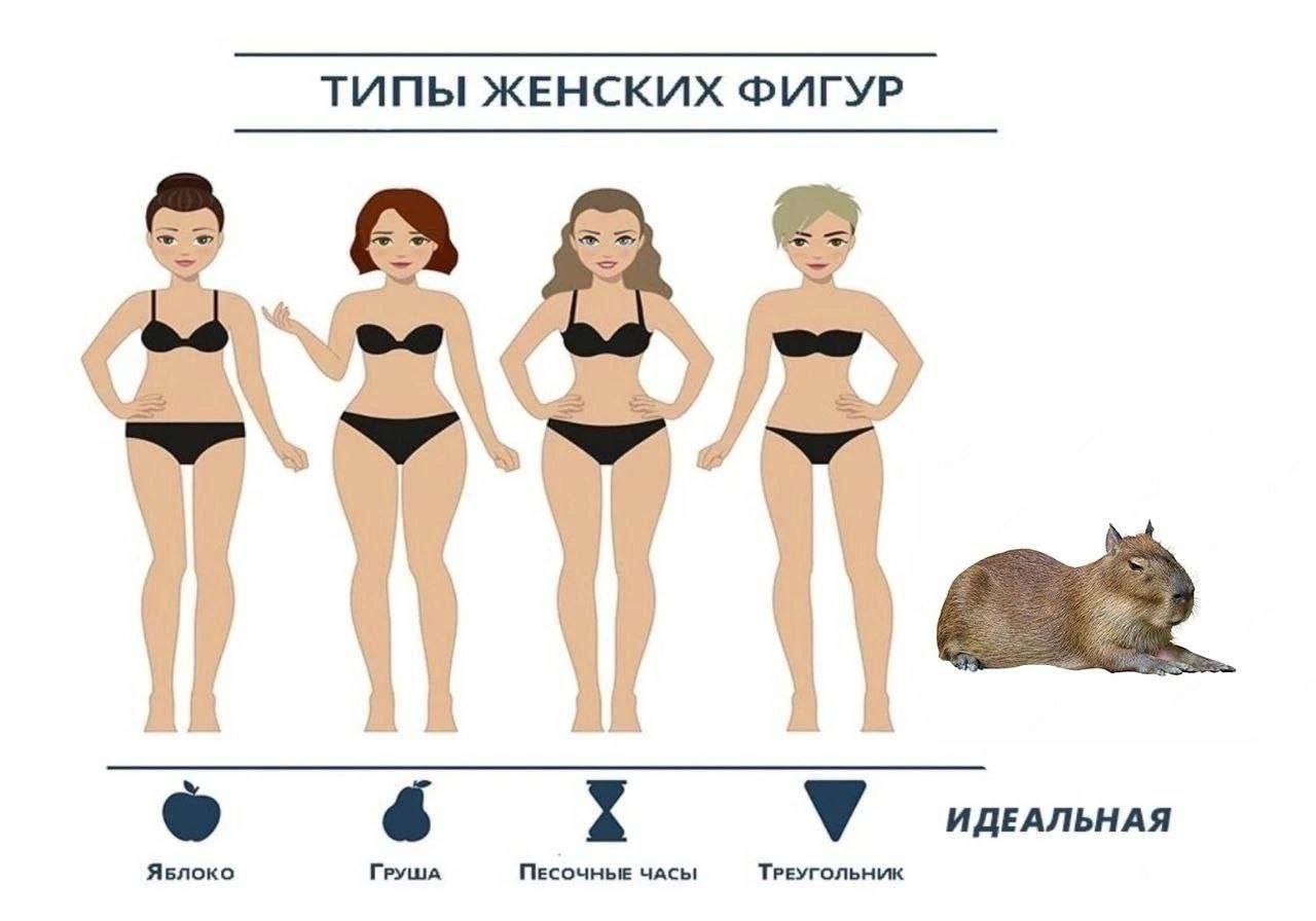 ТИПЫ ЖЕНСКИХ ФИГУР у ИДЕАЛЬНАЯ ЯвБлоко ГРУША ПЕСОЧНЫЕ ЧАСЫ ТРЕУГОЛЬНИК