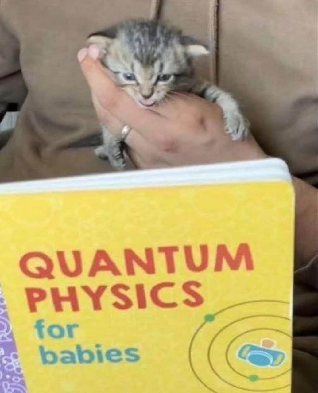 QUANTUM