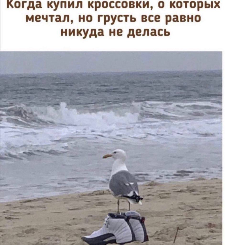 когда купил кроссовки, о которых мечтал, но грусть все равно никуда не делась