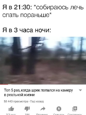 21:30: *собираюсь лечь спать пораныше* 3 часа ночи: Топ 5 раз, когда шрек попался на камеру 4 в реальной жизни 58 443 просмотра Год назад lie 99