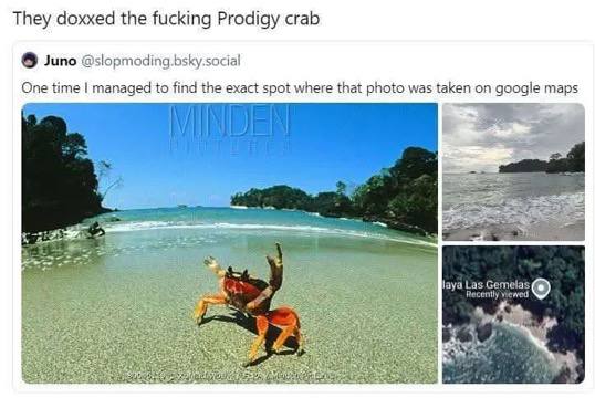 They doxxed the fucking Prodigy crab Juno @slopmoding.bsky.social One time managed to find the exact spot where that photo was taken on google maps а 4 у 3