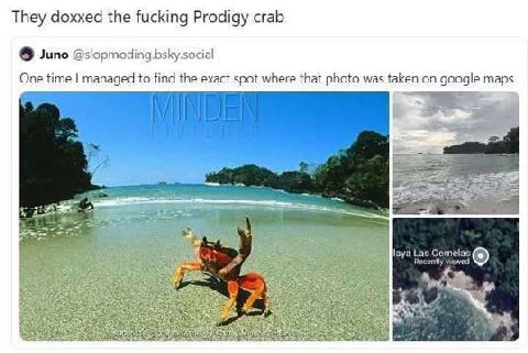 They doxxed the fucking Prodigy crab Juno @slopmoding.bsky.social One time managed to find the exact spot where that photo was taken on google maps а 4 у 3