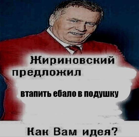 Жириновский. предложил втапить ебало в подушку Кан Вам идея?