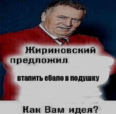 Жириновский. предложил втапить ебало в подушку Кан Вам идея?