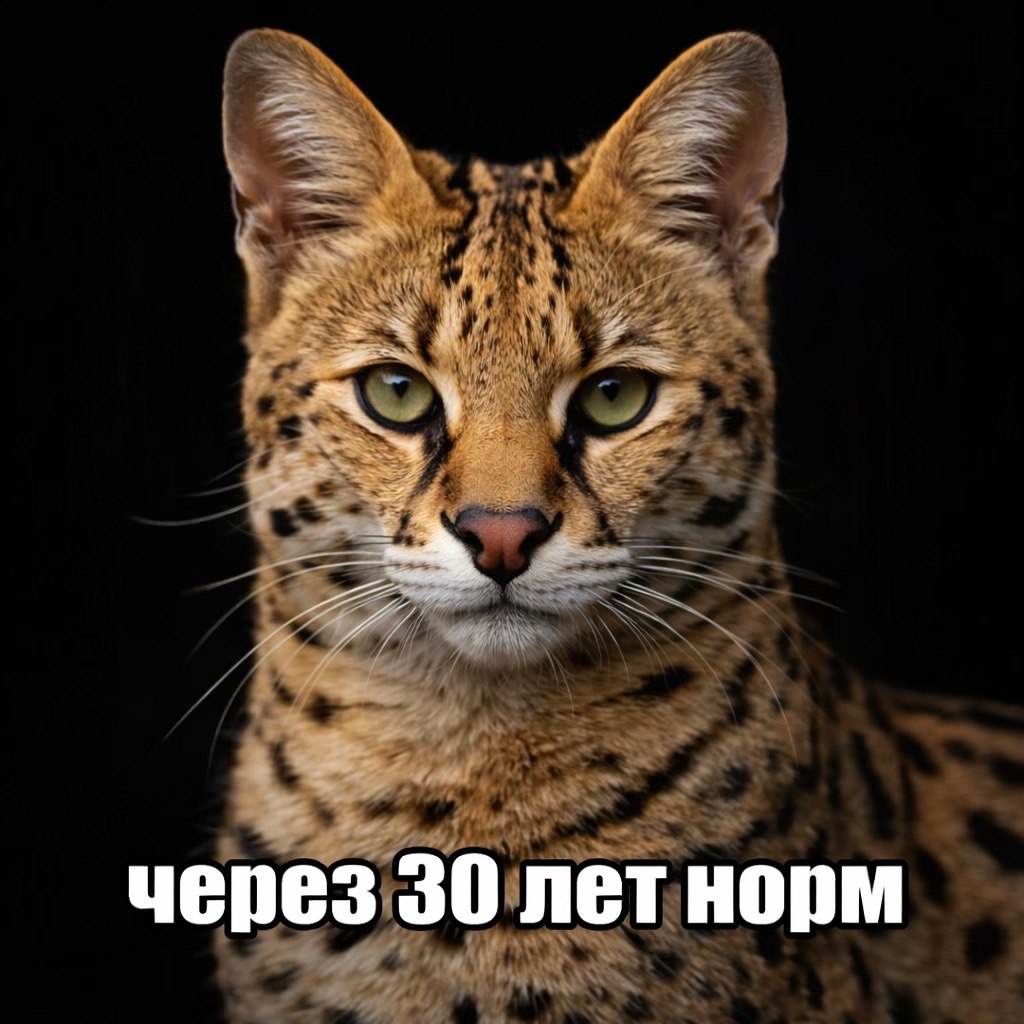 через 30 лет норм