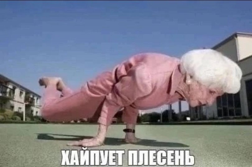 КАЙПУЕТ ПЛЕСЕНЬ