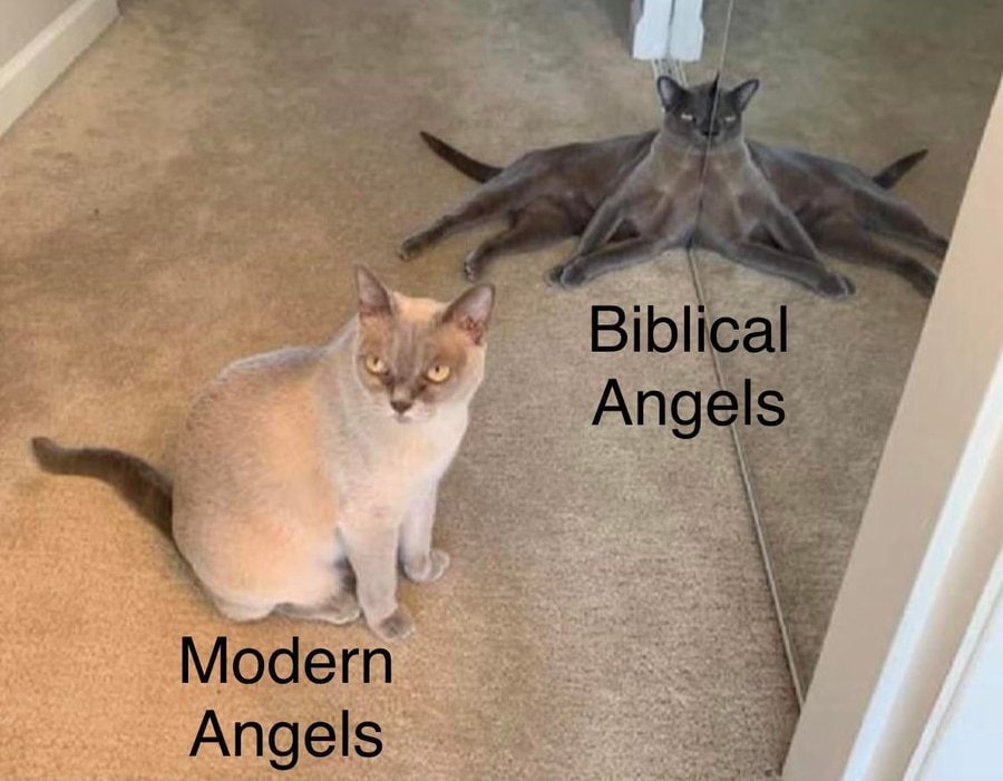 a В a 2 tie Ang rie ted Modern Angels
