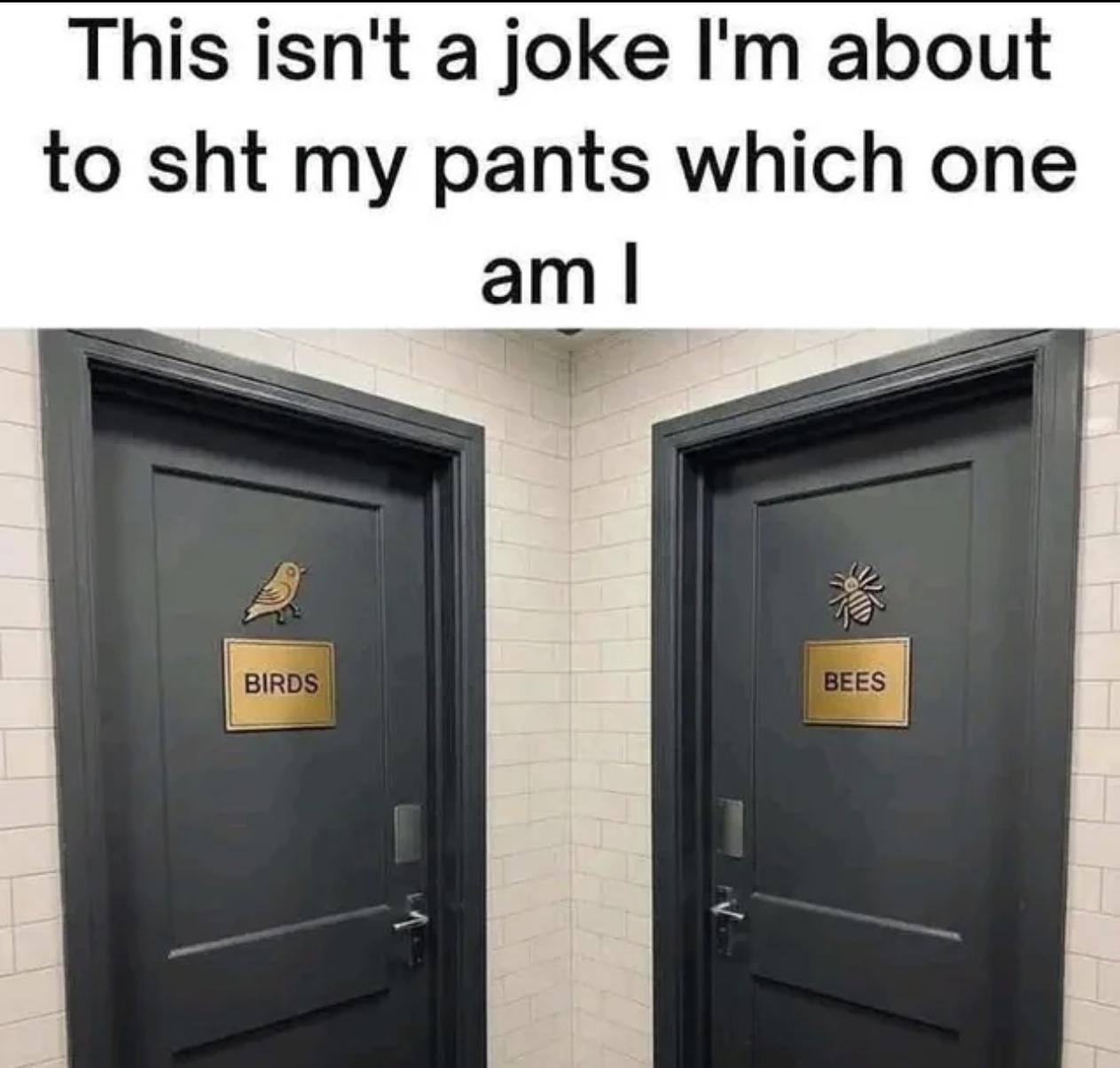 This isn't a joke about to sht my pants which one
