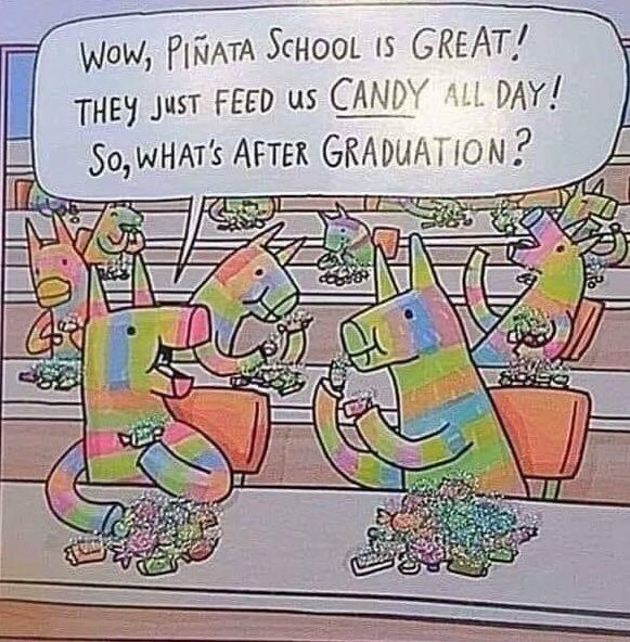 Wow, PINATA ScHooL 15 THEY Just FEED CANDY DAY AFTER Vey