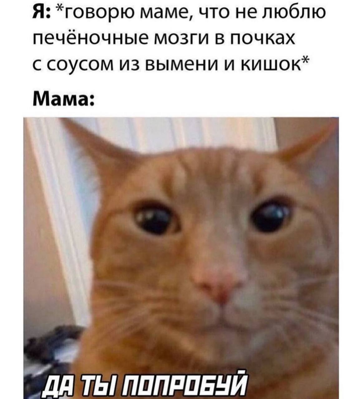 Я: *говорю маме, что не люблю печёночные мозги в почках с соусом из вымени и кишок* Мама: "ДА
