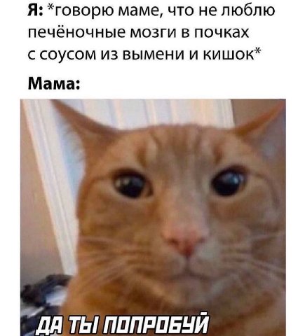 Я: *говорю маме, что не люблю печёночные мозги в почках с соусом из вымени и кишок* Мама: "ДА