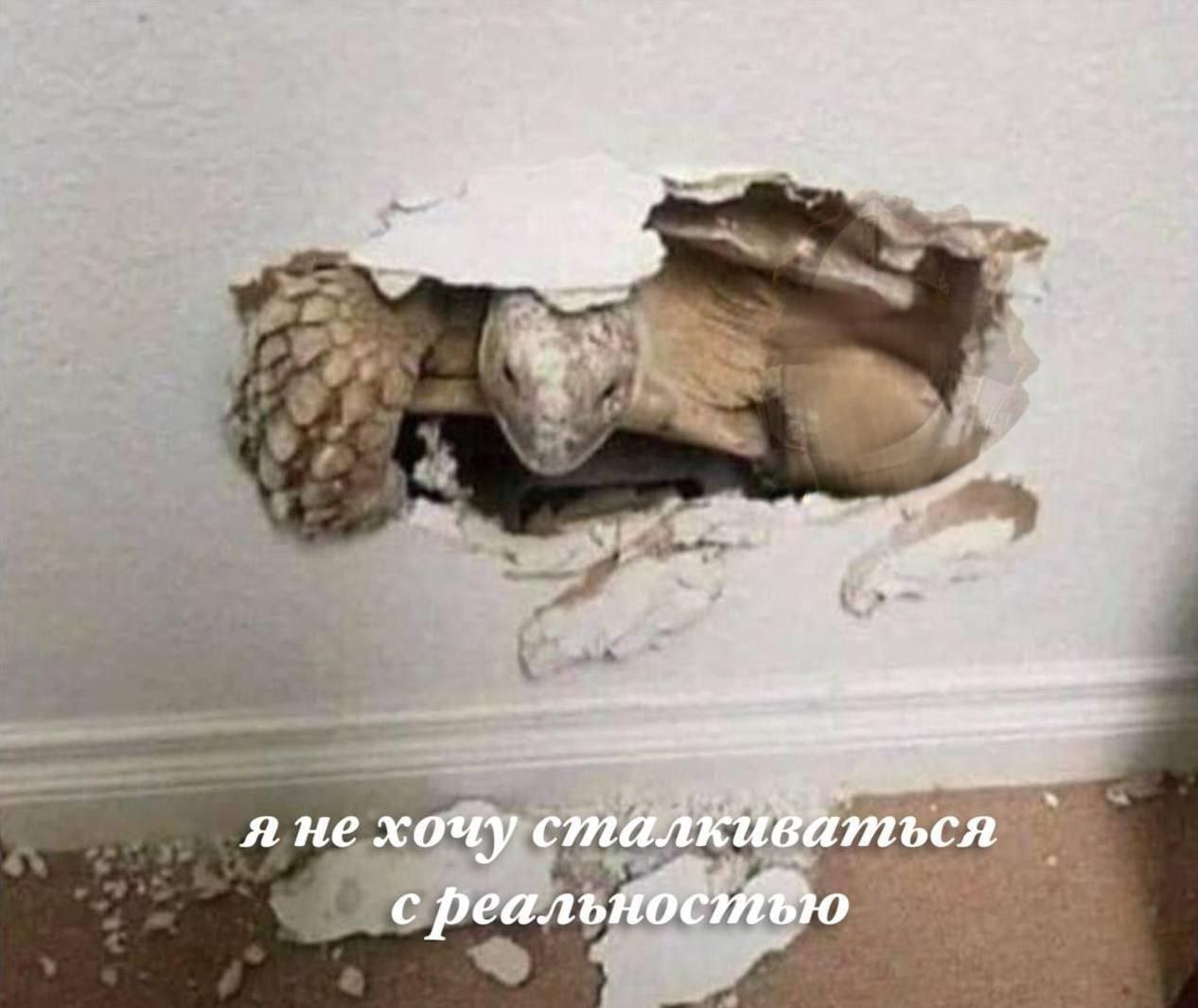 в, 4 я не хочу сталкиваться с реальност®ю