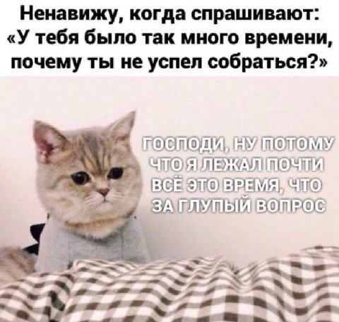 Ненавижу, когда спрашивают: «У тебя было так много времени, почему ты не успел собраться?»
