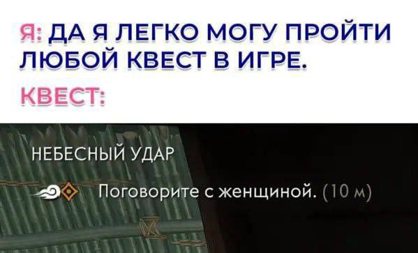 Я: ДА Я ЛЕГКО МОГУ ПРОЙТИ ЛЮБОЙ КВЕСТ В ИГРЕ. КВЕСТ: НЕБЕСНЫЙ УДАР Поговорите с женщиной. (10