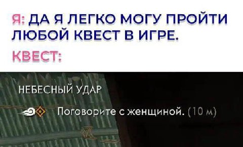 Я: ДА Я ЛЕГКО МОГУ ПРОЙТИ ЛЮБОЙ КВЕСТ В ИГРЕ. КВЕСТ: НЕБЕСНЫЙ УДАР Поговорите с женщиной. (10