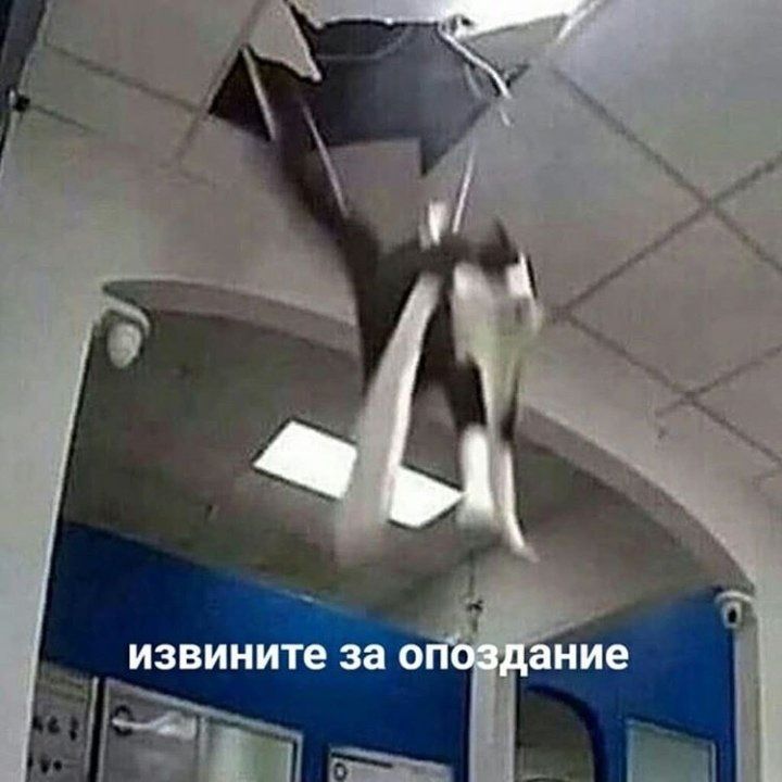 извините за опоздание