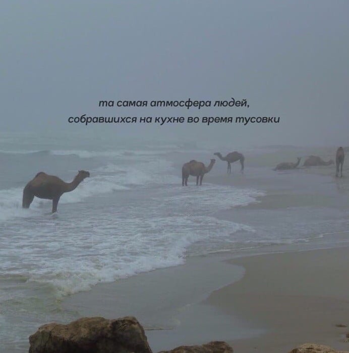 самая атмосфера людей, собравшихся на кухне во время тусовки