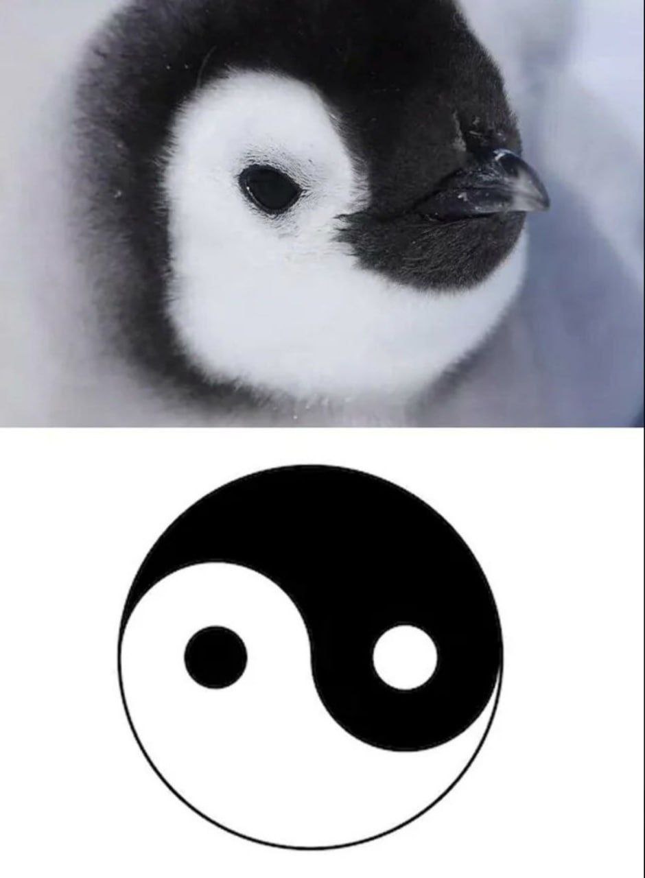 о