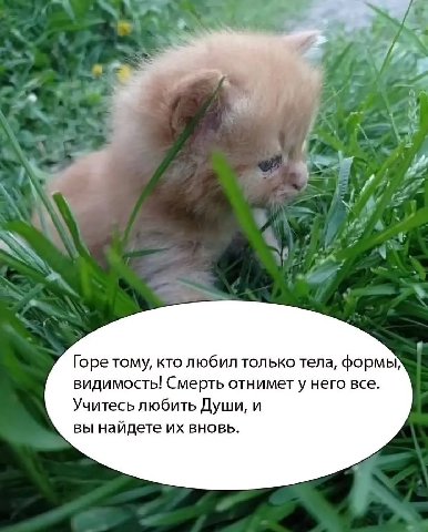 к Я 4 4 Горе тому, кто любил только тела, формы; видимость! Смерть отнимету него все. Учитесь любить Души, и вы найдете вновь.