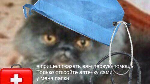 я пришел оказать вам первую, помощ Только откройте аптечку сами, у меня лапки