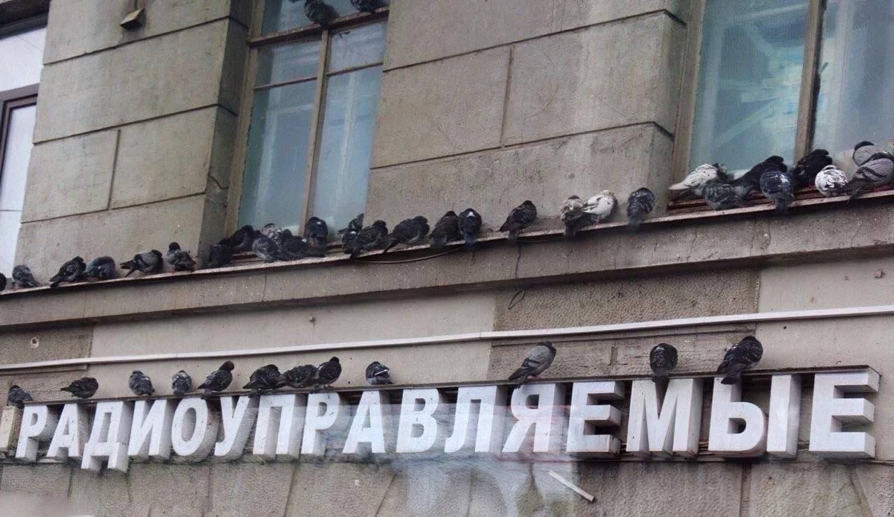 РАДИ УПРА