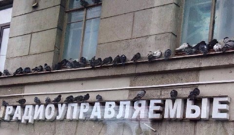 РАДИ УПРА