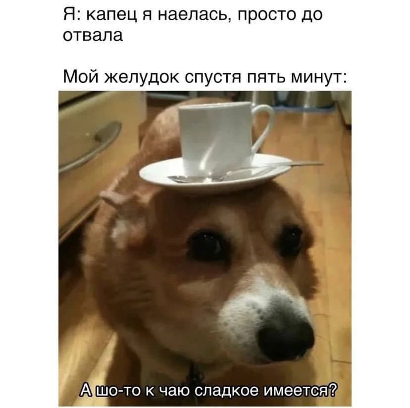 Я: капец я наелась, просто до отвала Мой желудок спустя пять минут: 4 i 4, a к чаю сладкое имеется!»