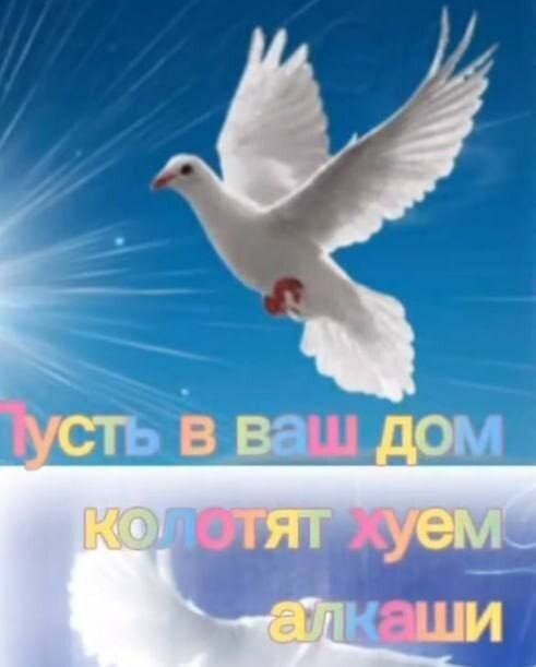 уст до TAT уем
