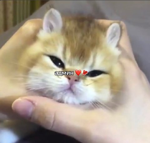 админ В