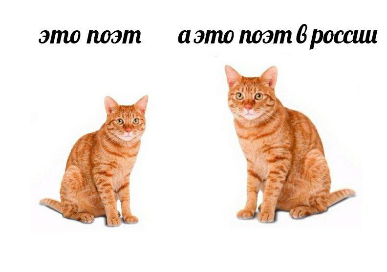 это поэт аэто поэт 6 россии 2 i} 5