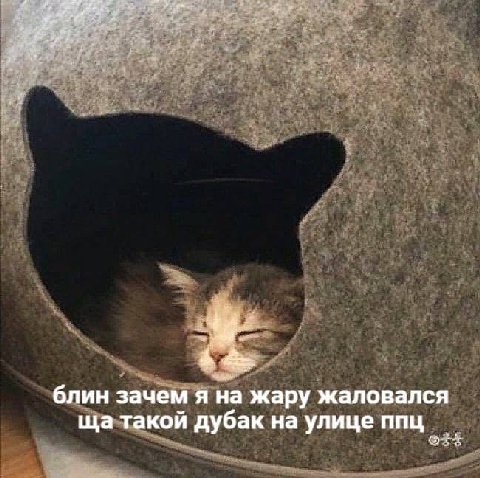 блин зачем я на жару жаловался такой дубак на улице ппц