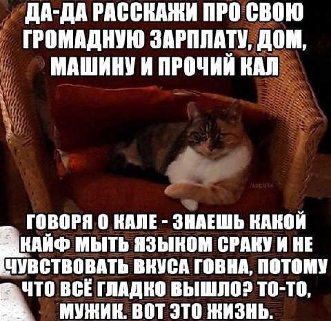 ДА-ДА РАССКАЖИ ПРО СВОЮ ГРОМАДНУЮ ЗАРПЛАТУ, ДОМ, МАШИНУ И ПРОЧИЙ КАЛ ГОВОРЯ 0 КАЛЕ ЗНАЕШЬ КАКОЙ К АЙФ МЫТЬ ЯЗЫКОМ СРАКУ И НЕ УВСТВОВАТЬ ВКУСА ГОВНА, ПОТОМУ ЧТО BCE ГЛАДКО ТО-ТО, МУЖИК. ВОТ ЭТО ЖИЗНЬ.