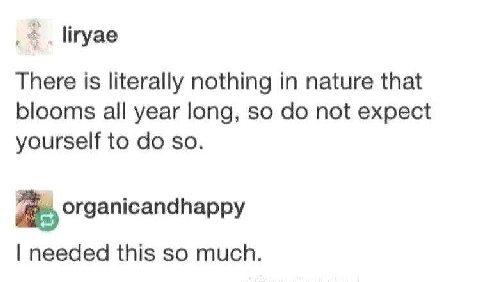 liryae There is literally nothing in nature that blooms all year long, so not expect yourself to so. organicandhappy needed this so much.