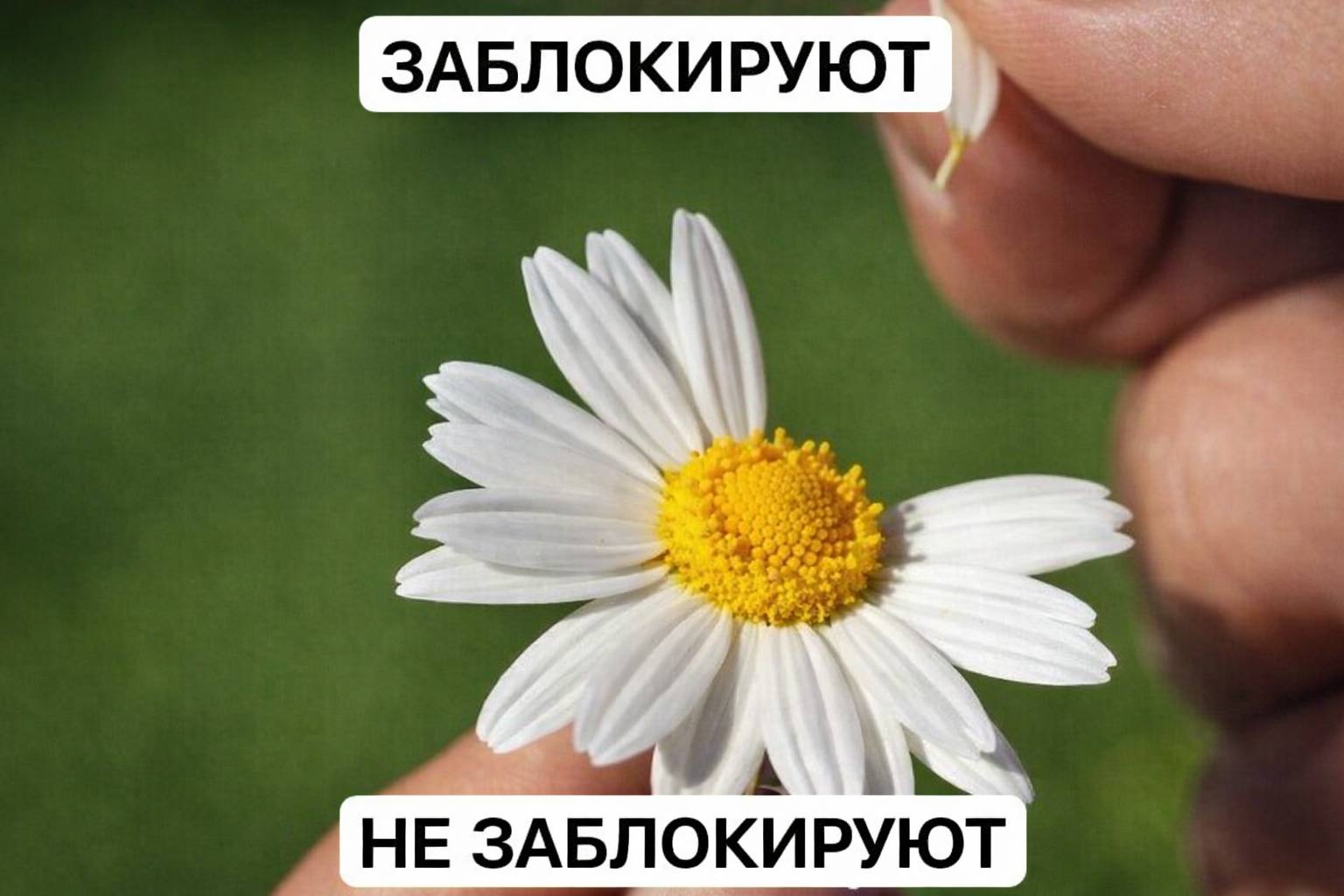 как ощущается жизнь сегодня: