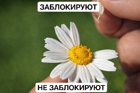 как ощущается жизнь сегодня: