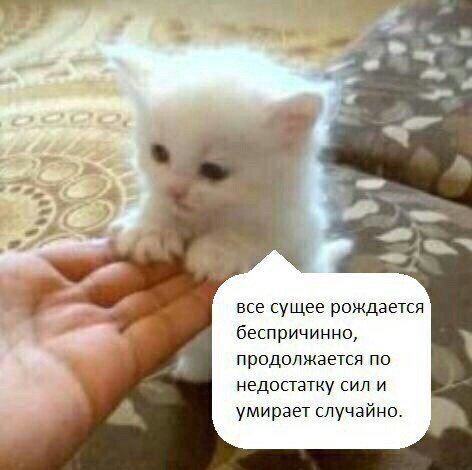 все сущее рождается беспричинно, продолжается по недостатку сил и умирает случайно.