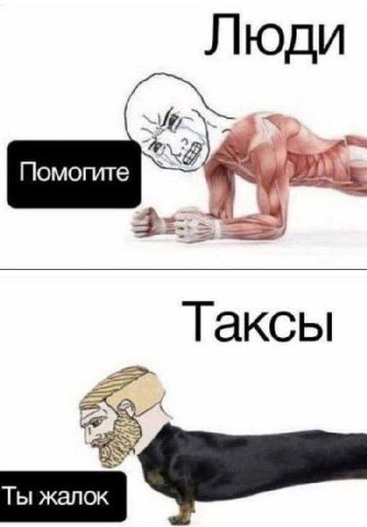 Люди Таксы