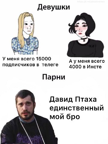 Девушки У меня всего 15000 А уменя всего подписчиков в телеге 4000 Инсте Парни Давид Птаха единственный мой бро