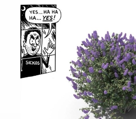 YES...HAHA YES! 1 SicKos A