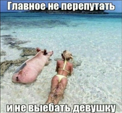 Главное не перепутать at 6 Bev