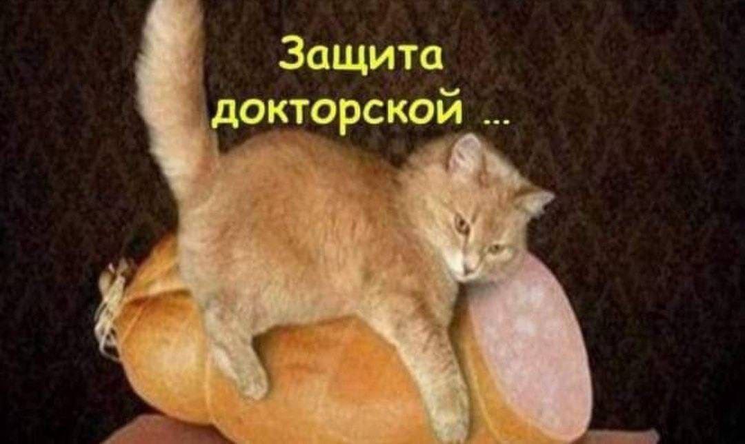 Защита докторской