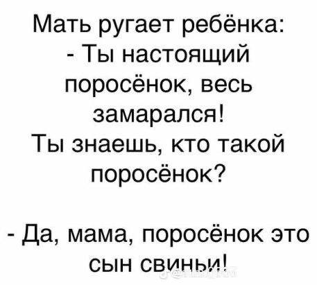 Мать ругает ребёнка: Ты настоящий поросёнок, весь замарался! Ты знаешь, кто такой поросёнок? Да, мама, поросёнок это сын свиньм!