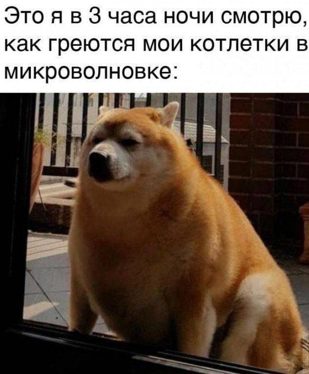 Это я в Зчаса ночи смотрю, как греются мои котлетки в микроволновке: